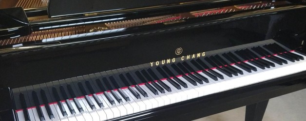 Piano quart queue YOUNG CHANG